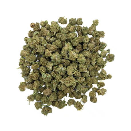 Fleur de CBD Sour Tsunami CBD – Small Buds – Green-house Française