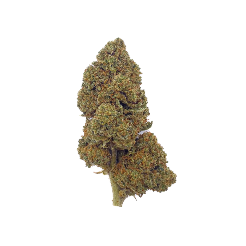 Fleur de CBD - Fruit Cake - Bud Mix - Glass House