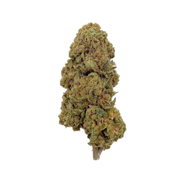 Fleur de CBD - Gelato – Bud Mix – Glass-House