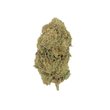 Fleurs Berry Cheese CBD / Bud Mix / Glass-House